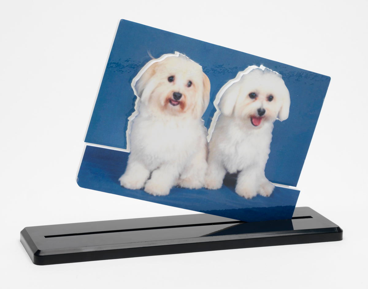 Snap-In Pop-Out Photo Sculpture – Photogifts.com